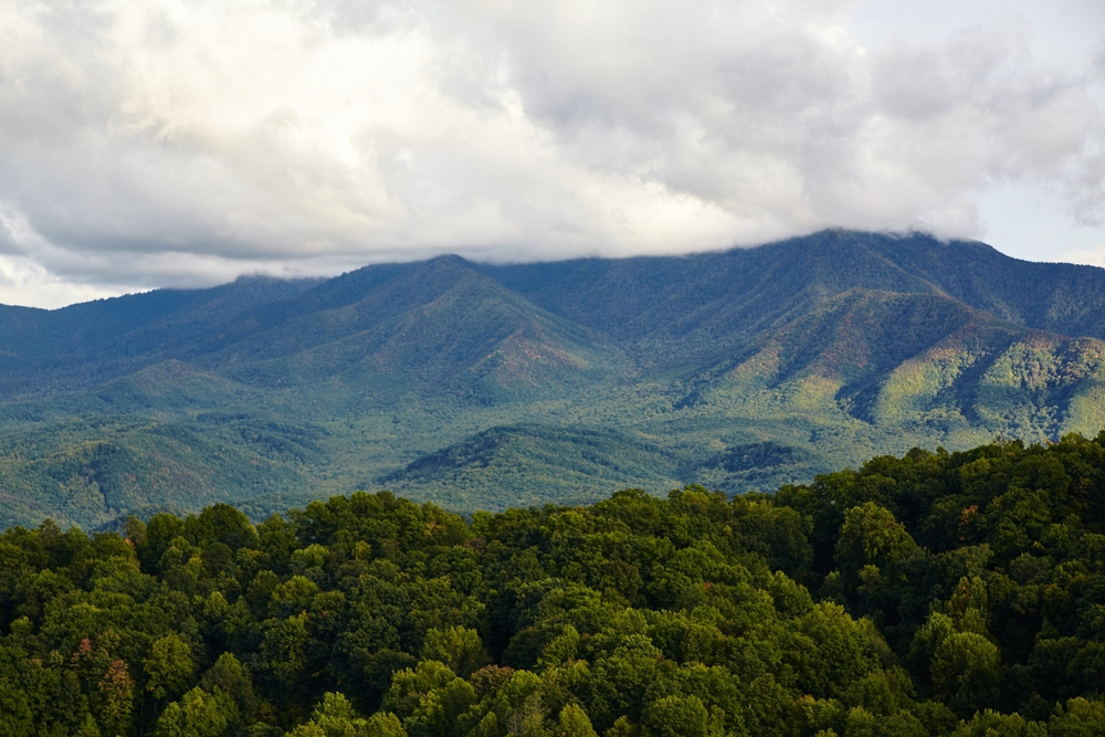 smoky mountain views