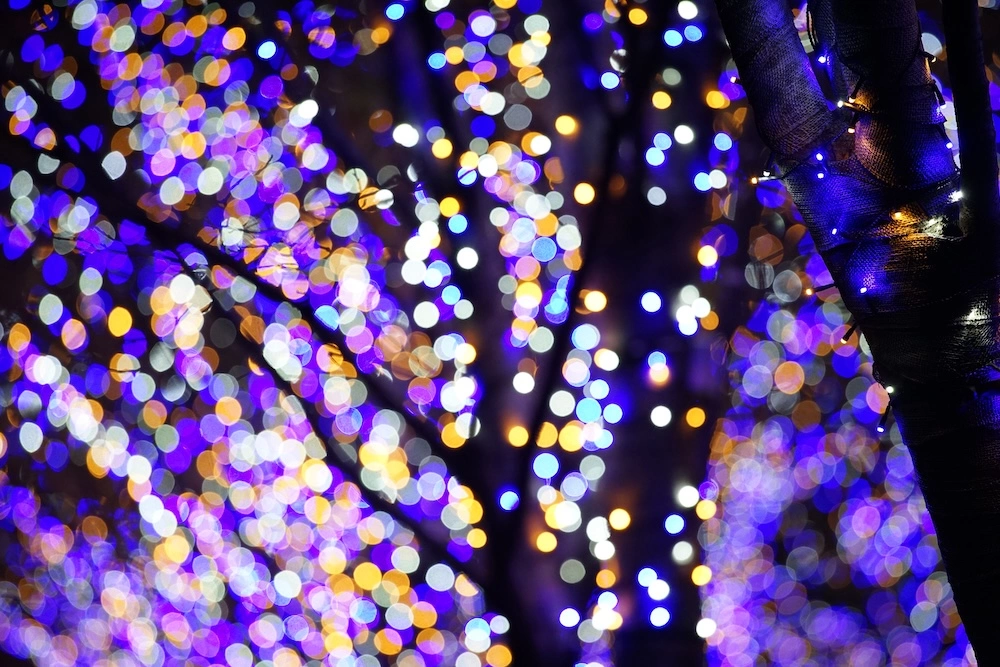 holiday lights