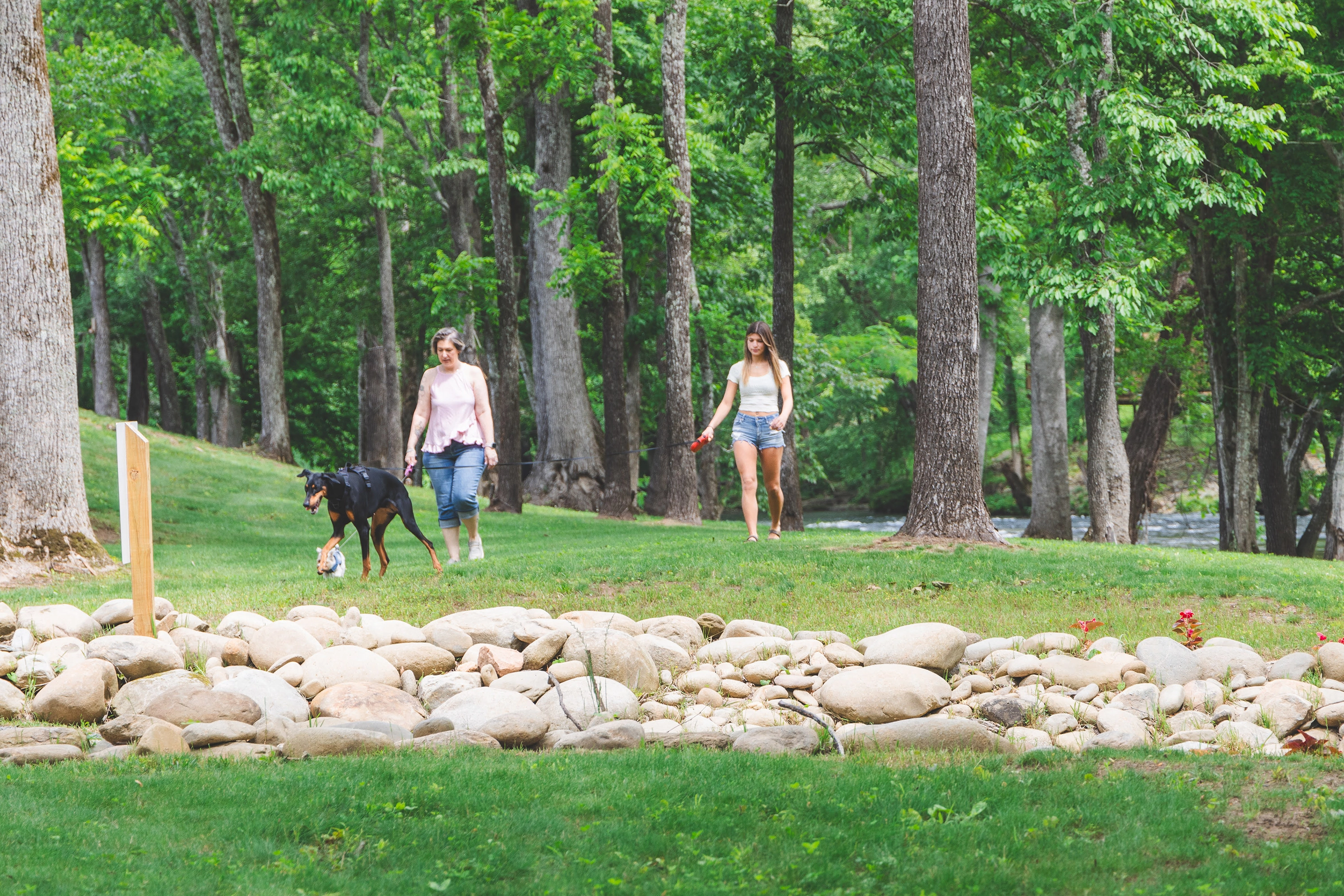 Campers walking their dog