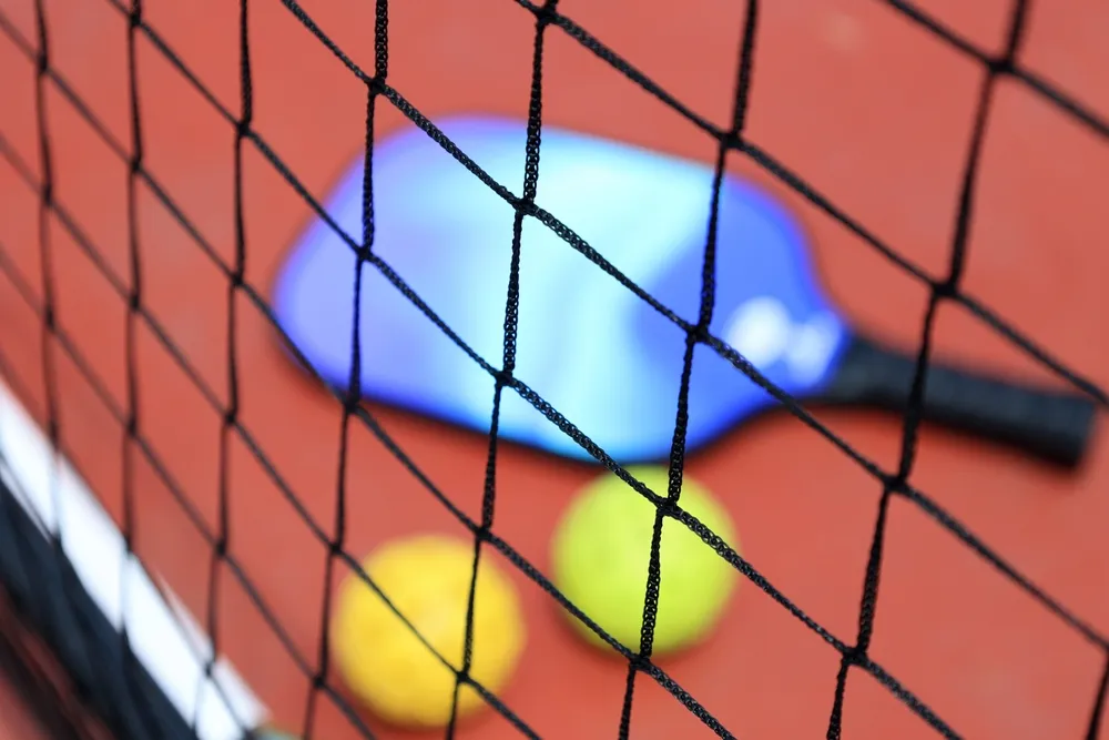 pickleball racket and balls behind net